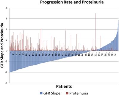 A Classification Model to Predict the Rate of Decline of Kidney Function